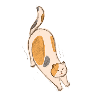 伸懒腰的猫 简笔画图片