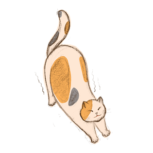猫咪伸懒腰手绘风