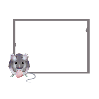 老鼠漂亮的边框插画