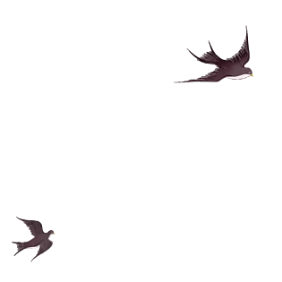 燕子卡通低飞图片