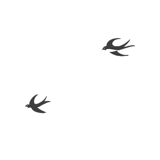 两只黑色往南飞的燕子pngpsd2000*2000燕子卡通手绘 清明 谷雨春季