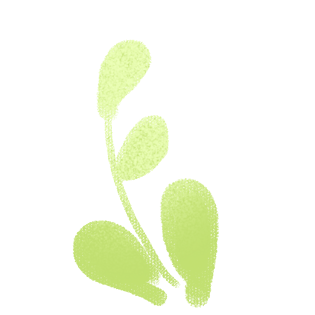 发芽手绘图片大全