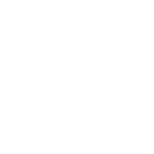 白色透明的卡通羽毛