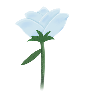 小清新手绘卡通白玫瑰