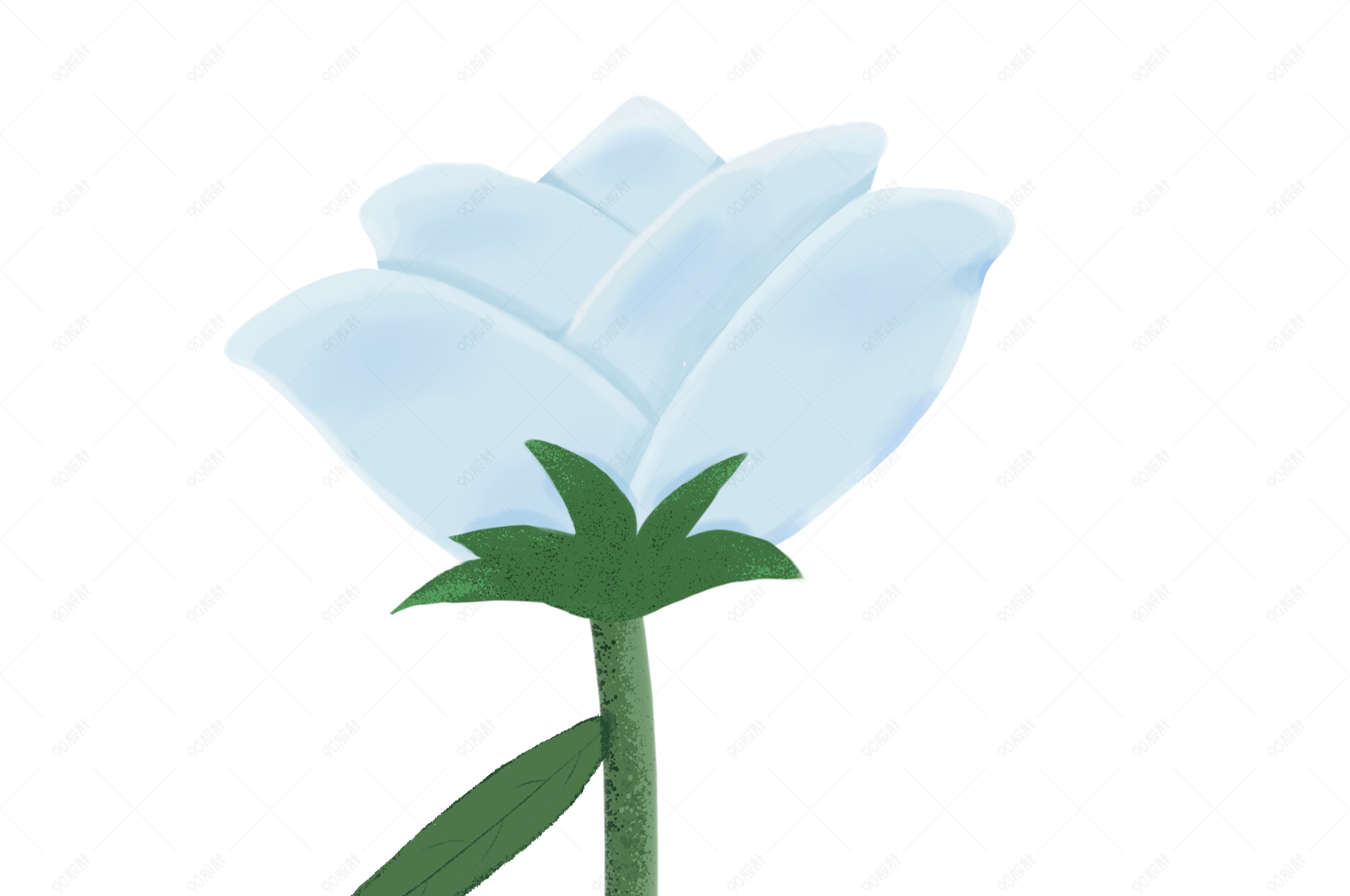 小清新手绘卡通白玫瑰