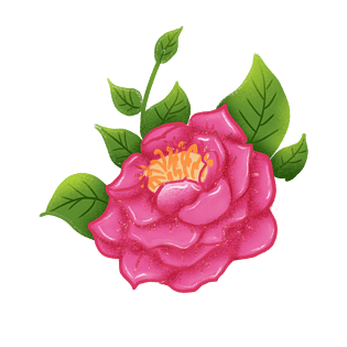 牡丹绿叶图片大全