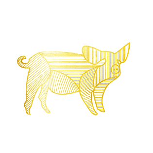 新年金色线条小猪