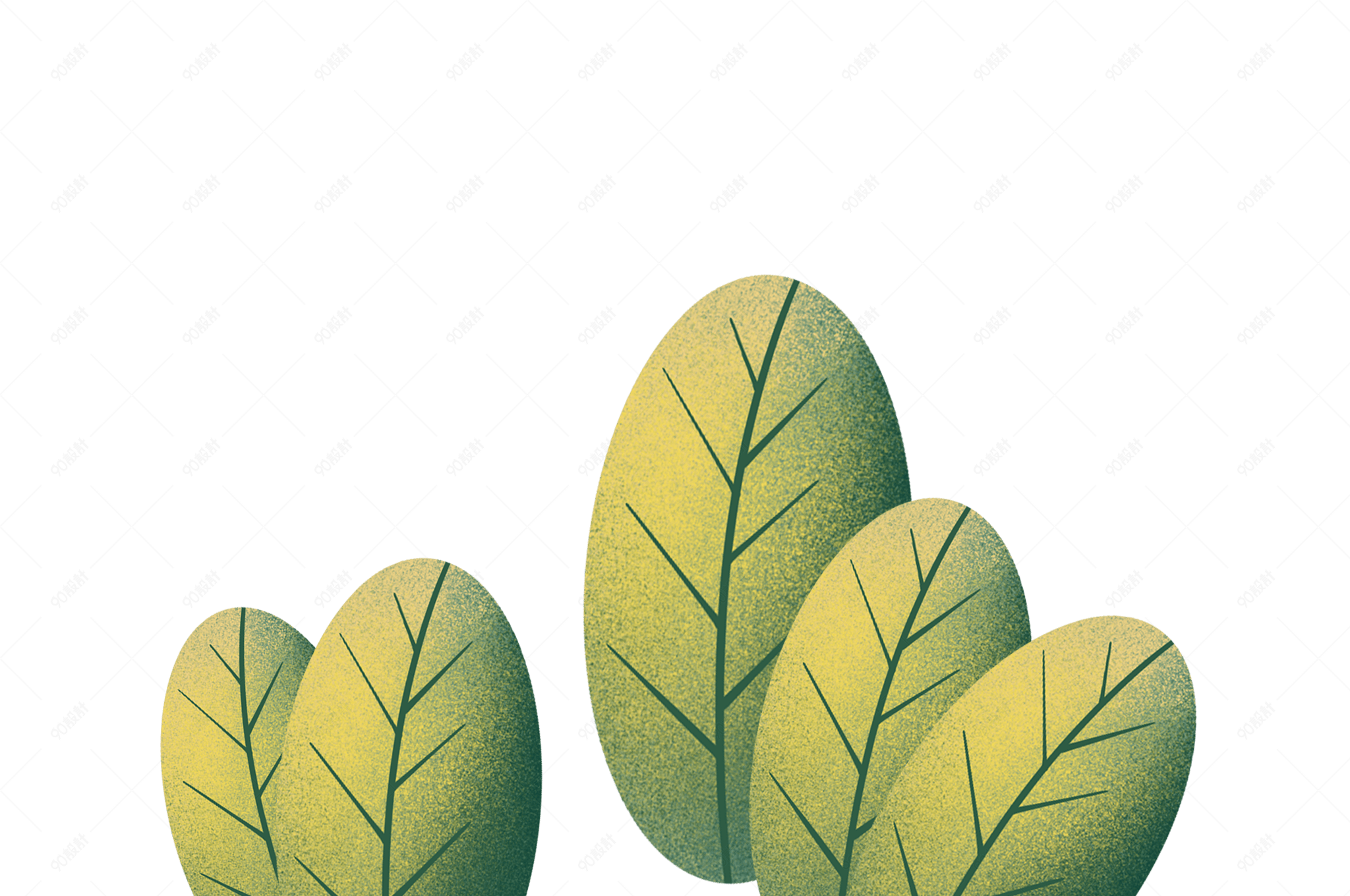 简约插画树叶绿叶点缀